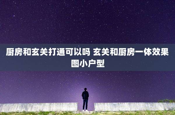 厨房和玄关打通可以吗 玄关和厨房一体效果图小户型
