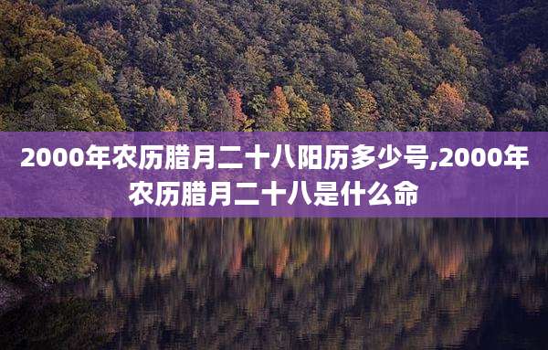2000年农历腊月二十八阳历多少号,2000年农历腊月二十八是什么命