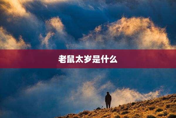 老鼠太岁是什么