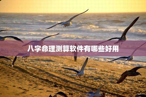 八字命理测算软件有哪些好用