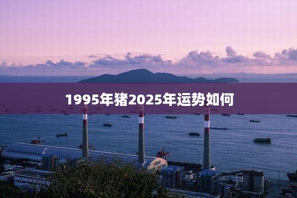 1995年猪2025年运势如何
