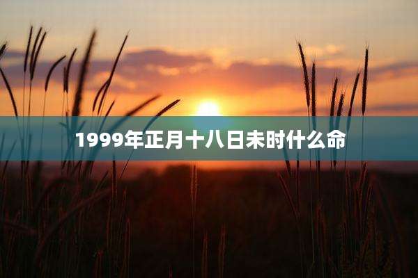 1999年正月十八日未时什么命