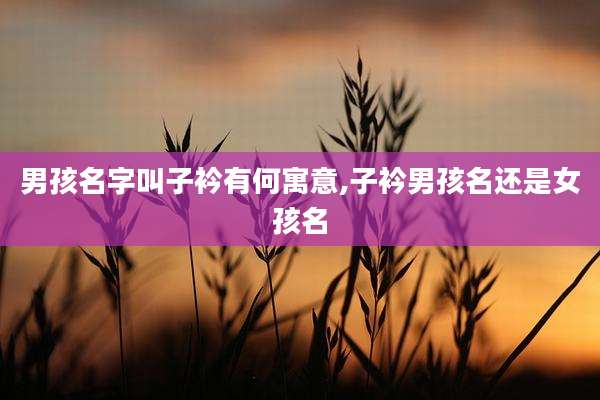 男孩名字叫子衿有何寓意,子衿男孩名还是女孩名