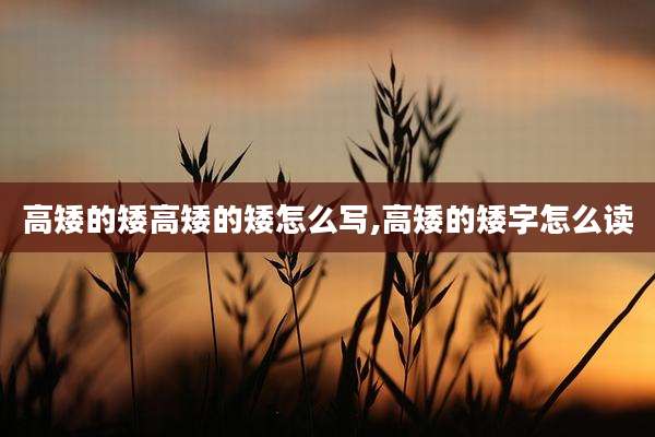 高矮的矮高矮的矮怎么写,高矮的矮字怎么读