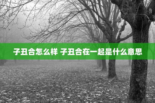 子丑合怎么样 子丑合在一起是什么意思