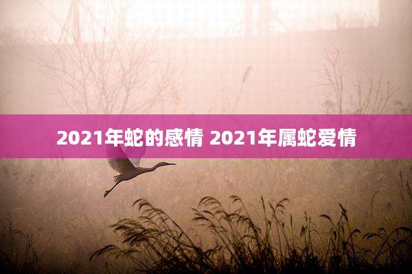 2021年蛇的感情 2021年属蛇爱情