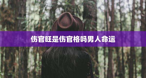 伤官旺是伤官格吗男人命运