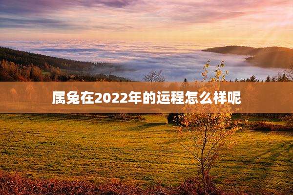 属兔在2022年的运程怎么样呢