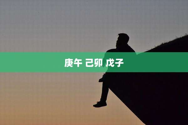 庚午 己卯 戊子