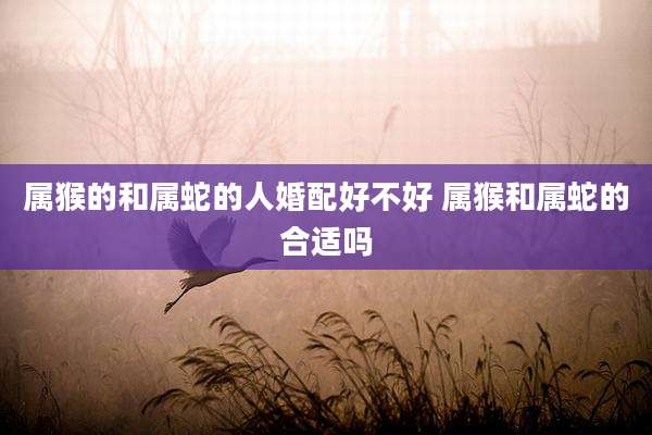 属猴的和属蛇的人婚配好不好 属猴和属蛇的合适吗