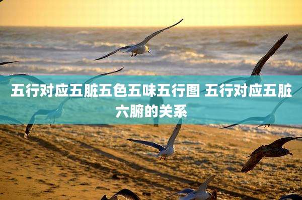 五行对应五脏五色五味五行图 五行对应五脏六腑的关系