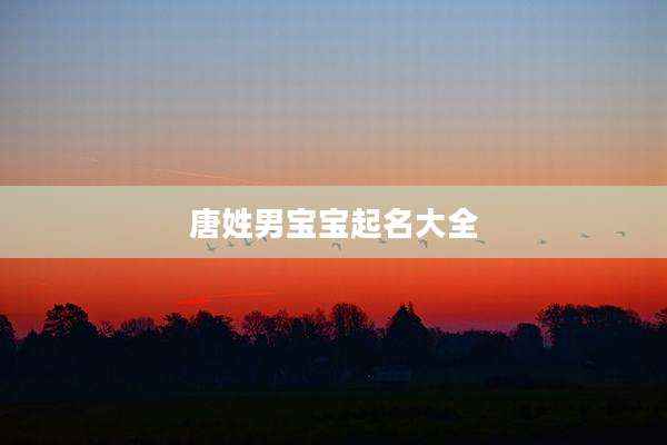 唐姓男宝宝起名大全