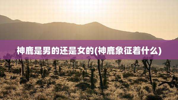 神鹿是男的还是女的(神鹿象征着什么)