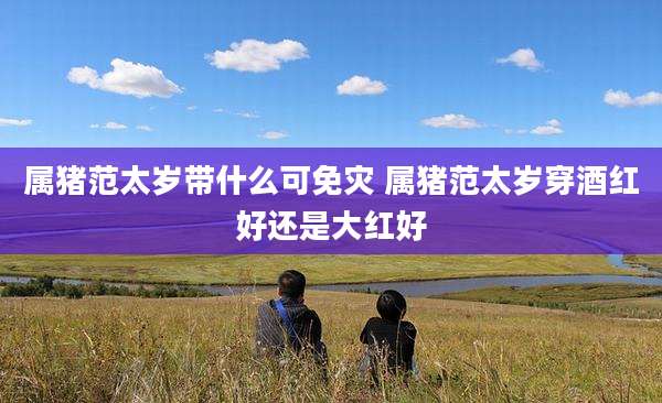 属猪范太岁带什么可免灾 属猪范太岁穿酒红好还是大红好