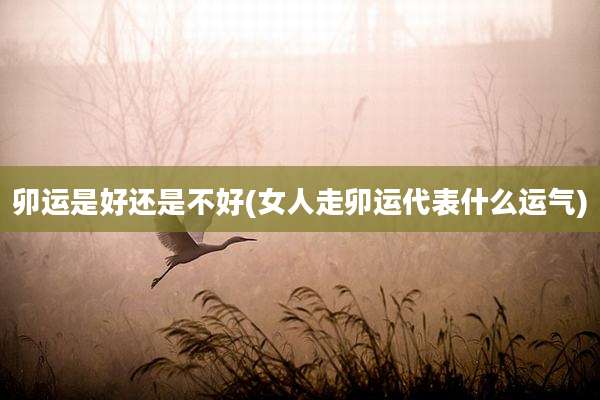 卯运是好还是不好(女人走卯运代表什么运气)
