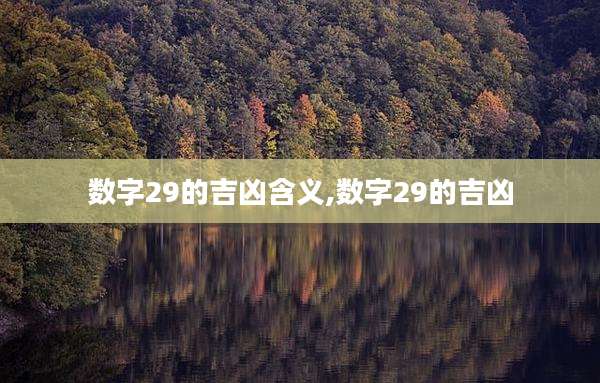 数字29的吉凶含义,数字29的吉凶