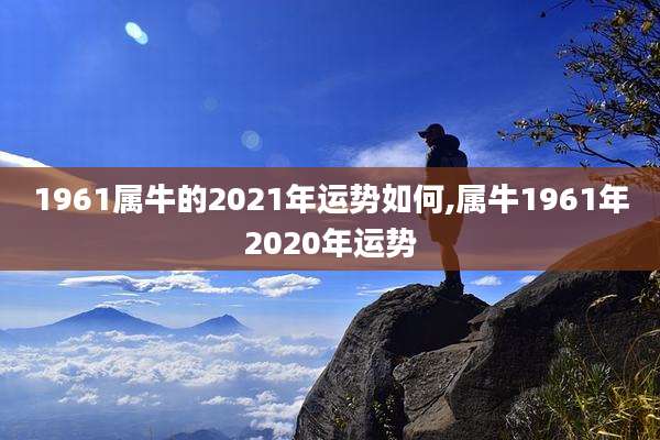 1961属牛的2021年运势如何,属牛1961年2020年运势