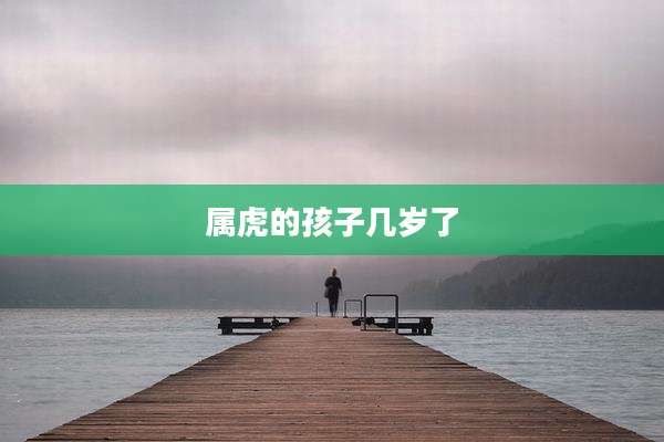属虎的孩子几岁了