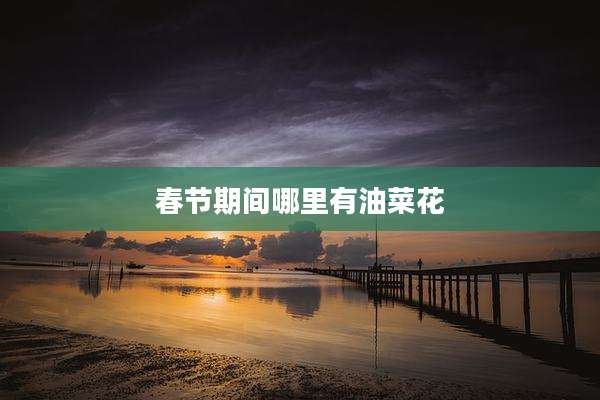 春节期间哪里有油菜花