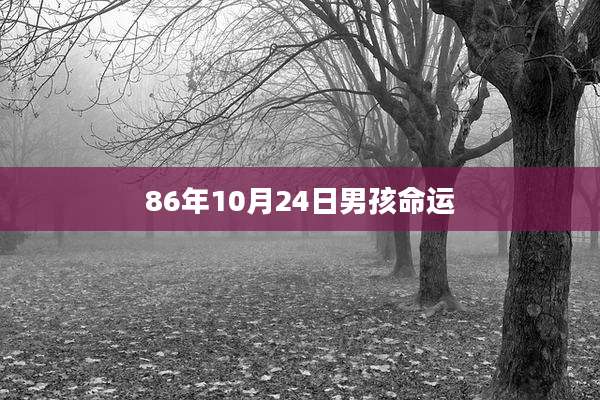 86年10月24日男孩命运