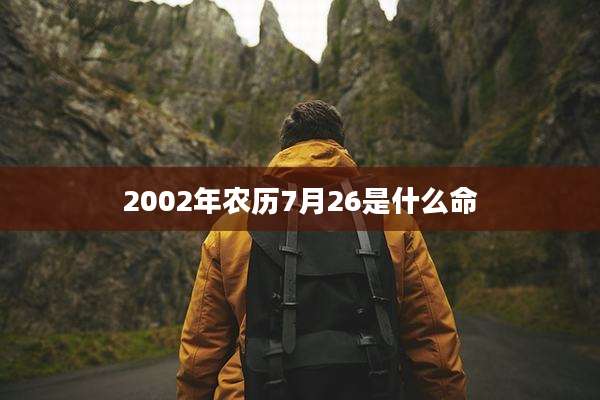 2002年农历7月26是什么命