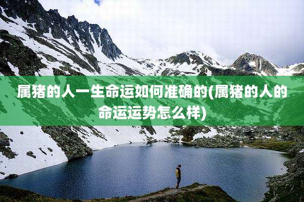 属猪的人一生命运如何准确的(属猪的人的命运运势怎么样)