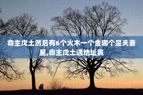 命主戊土然后有6个火木一个金哪个是夫妻星,命主戊土遇地址寅