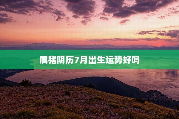 属猪阴历7月出生运势好吗