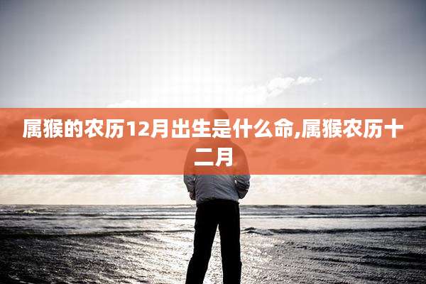 属猴的农历12月出生是什么命,属猴农历十二月