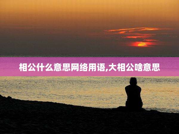 相公什么意思网络用语,大相公啥意思