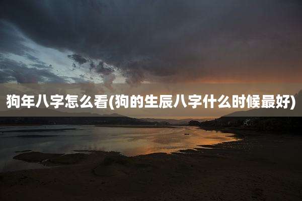 狗年八字怎么看(狗的生辰八字什么时候最好)