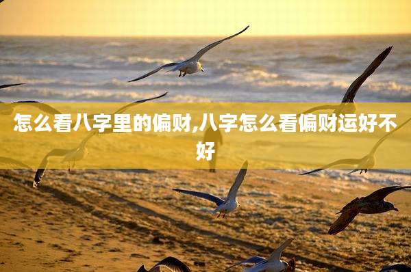 怎么看八字里的偏财,八字怎么看偏财运好不好