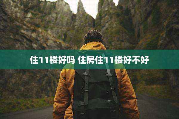 住11楼好吗 住房住11楼好不好