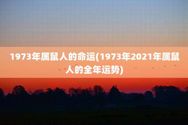 1973年属鼠人的命运(1973年2021年属鼠人的全年运势)
