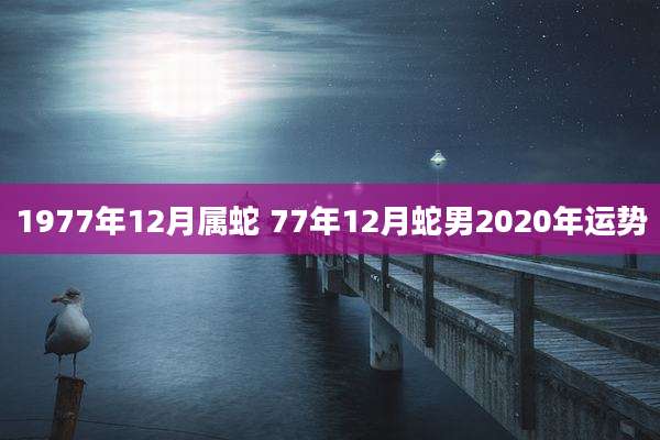 1977年12月属蛇 77年12月蛇男2020年运势