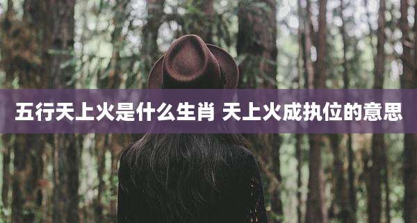 五行天上火是什么生肖 天上火成执位的意思