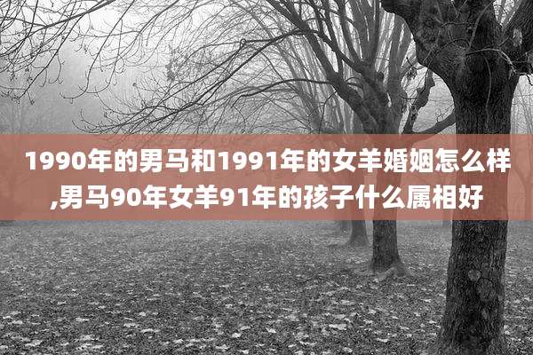 1990年的男马和1991年的女羊婚姻怎么样,男马90年女羊91年的孩子什么属相好