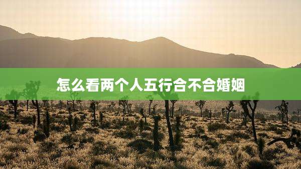 怎么看两个人五行合不合婚姻