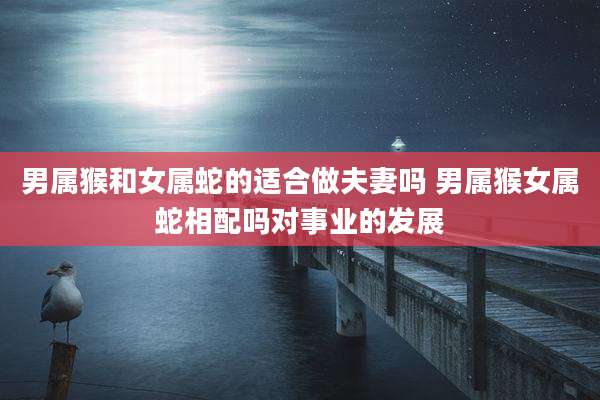 男属猴和女属蛇的适合做夫妻吗 男属猴女属蛇相配吗对事业的发展