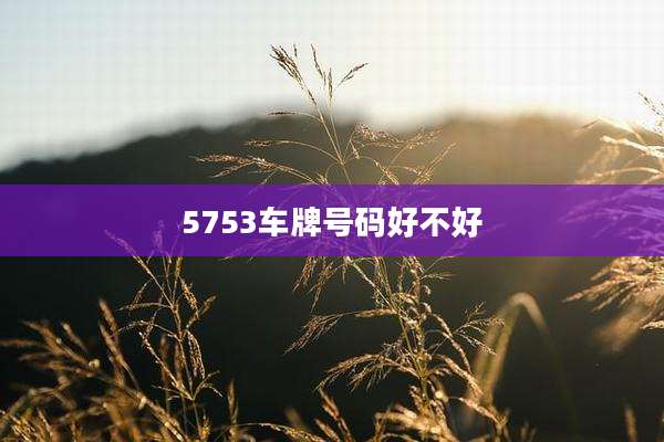 5753车牌号码好不好