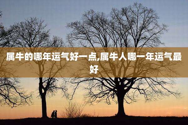 属牛的哪年运气好一点,属牛人哪一年运气最好