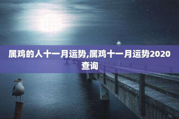 属鸡的人十一月运势,属鸡十一月运势2020查询