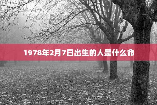 1978年2月7日出生的人是什么命