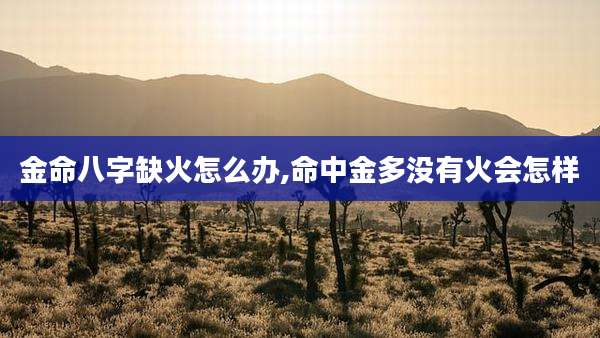 金命八字缺火怎么办,命中金多没有火会怎样
