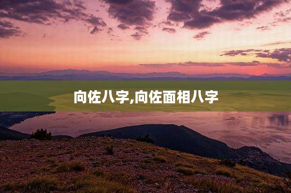 向佐八字,向佐面相八字