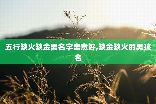 五行缺火缺金男名字寓意好,缺金缺火的男孩名