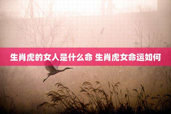 生肖虎的女人是什么命 生肖虎女命运如何