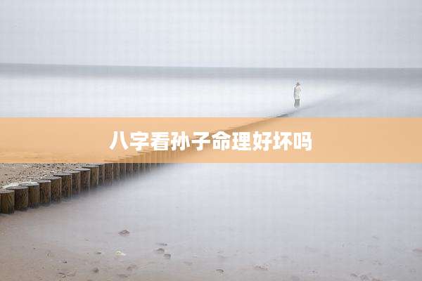 八字看孙子命理好坏吗