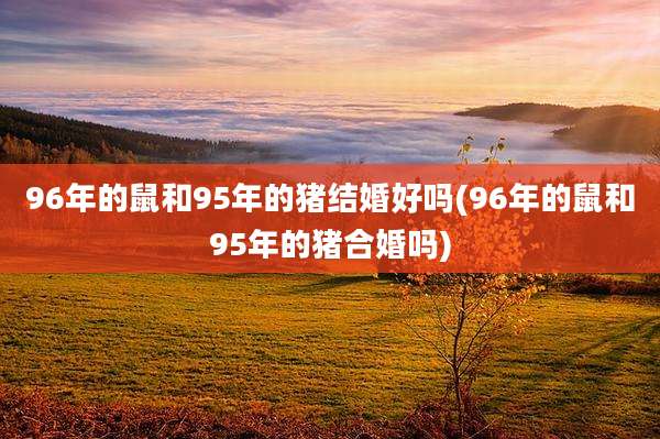 96年的鼠和95年的猪结婚好吗(96年的鼠和95年的猪合婚吗)