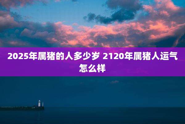 2025年属猪的人多少岁 2120年属猪人运气怎么样